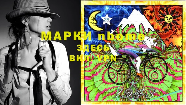 сатива Верея