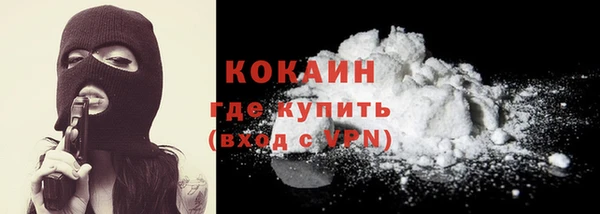 сатива Верея