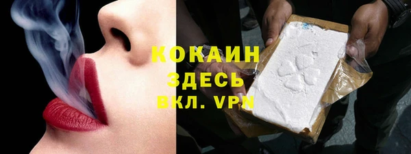 сатива Верея