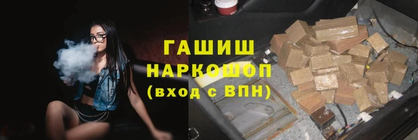 сатива Верея