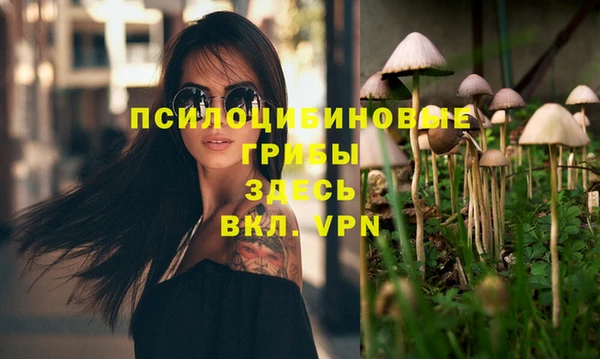 MDMA Верхний Тагил