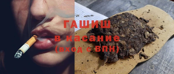 сатива Верея
