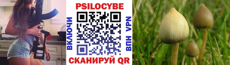 Купить закладки  Лобня  Псилоцибиновые грибы Psilocybe 
